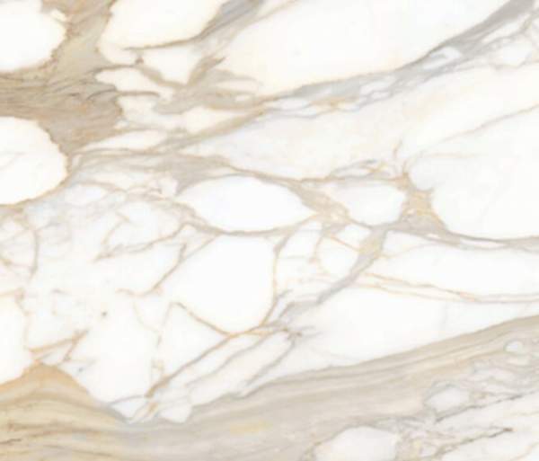 Calacata Oro Honed