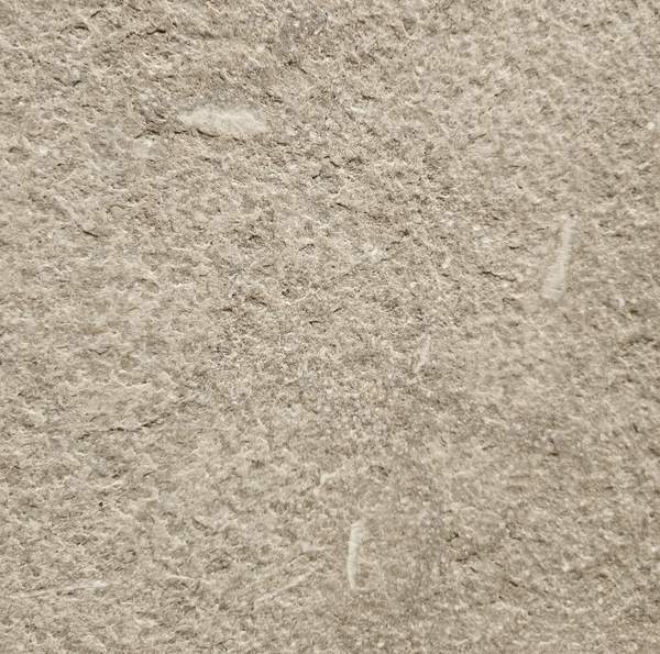 Fossil Grey