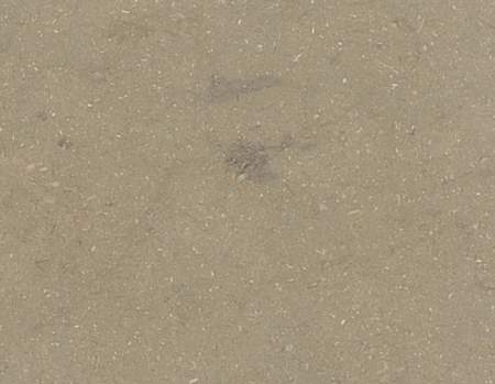 Fossil Grey Honed